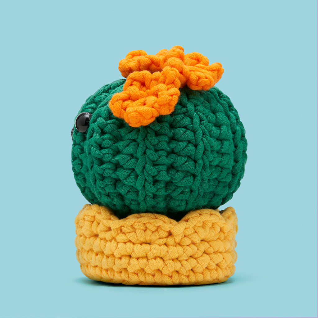 Olivia the Barrel Cactus Crochet Kit - Your Crochet Starter