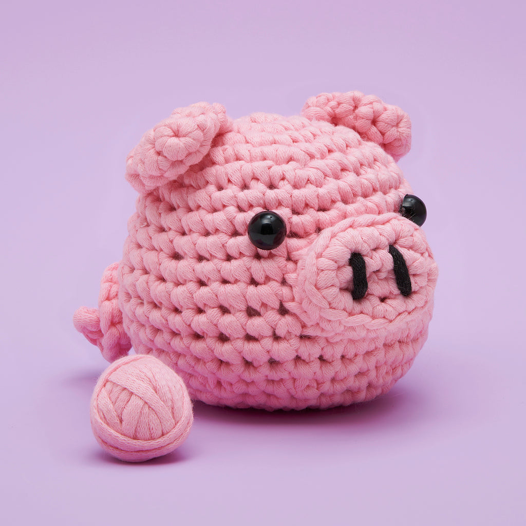 Old MacYarn-ald Had a Farm Bundle - First Crochet Project