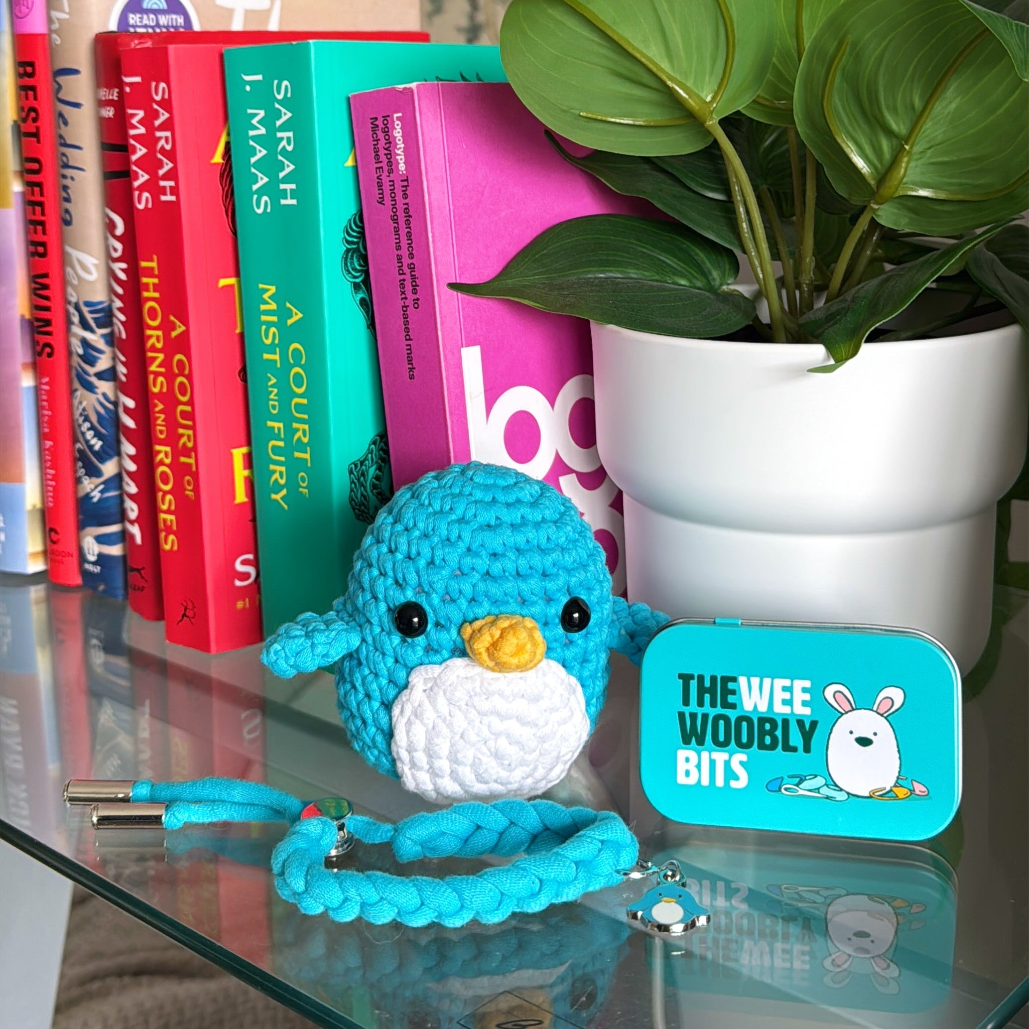 Pierre the Penguin Crochet Kit - A Kit That Teaches