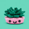 Jade the Succulent Crochet Kit - Pick Up the Hook