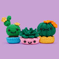 We'll Never Desert You Bundle - Crochet Made Easy