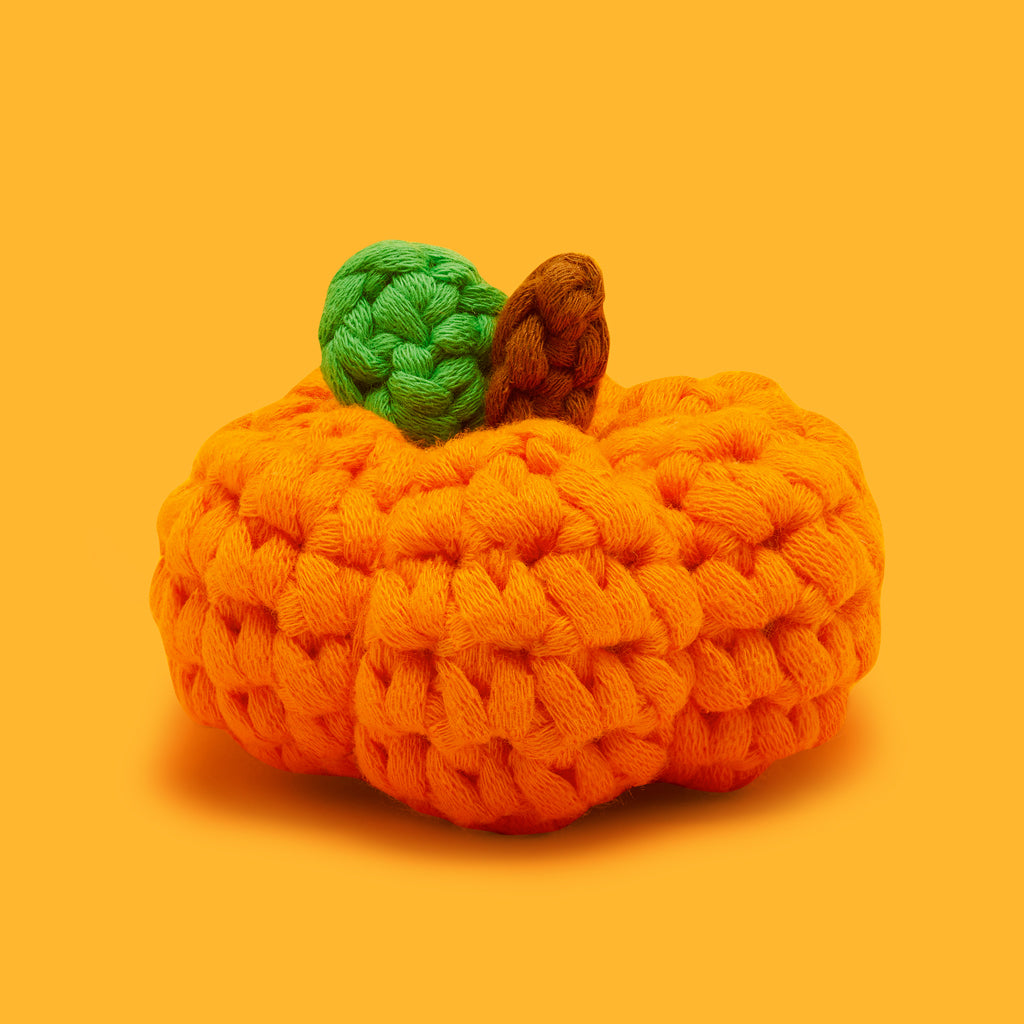 Tiny Pumpkin Accessory Kit - Tiny Project Big Joy