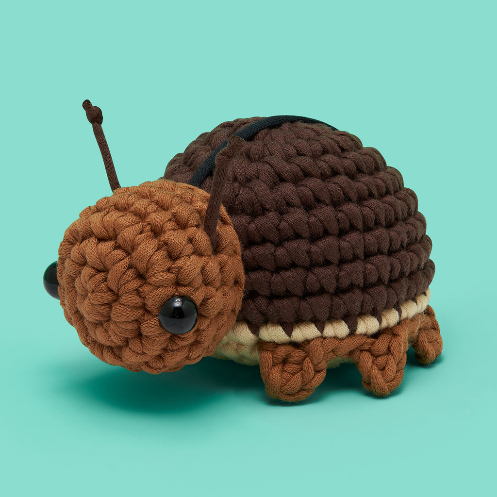 Bun and Only Bundle - Beginner Craft Joy