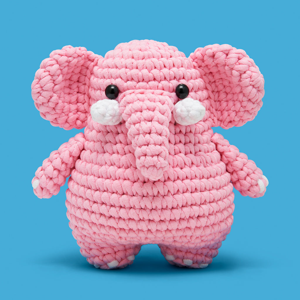 Trunkload o’ Fun Bundle - Learn Your Way